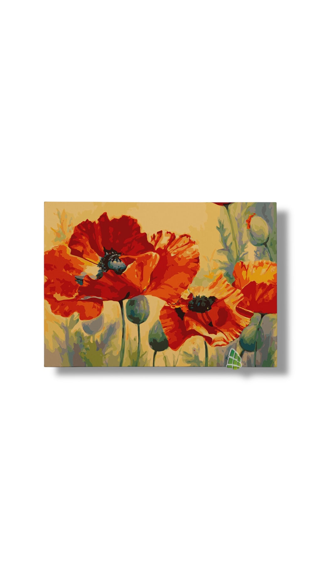 Red Poppies Flowers Canvas Art Painting Framed Wall Art Print Picture Decor